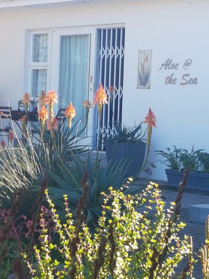 Aloe @ The Sea Daire Mossel Bay Dış mekan fotoğraf