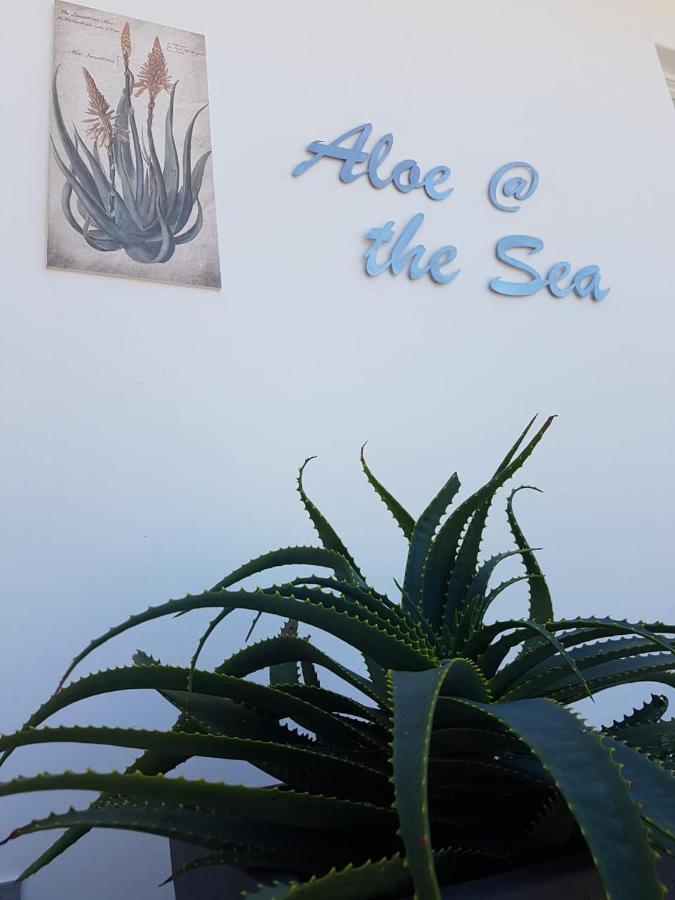 Aloe @ The Sea Daire Mossel Bay Dış mekan fotoğraf